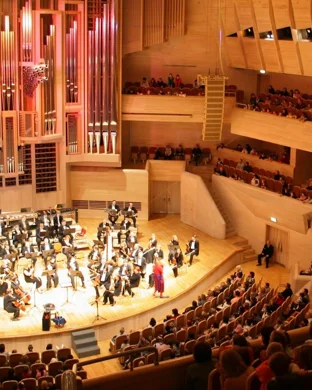 Live concert by The Music of Hey Arnold Live!