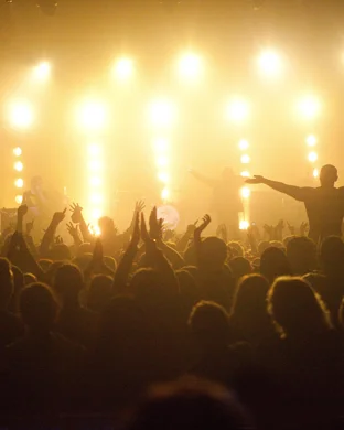 Flower Moon Music & Arts Festival: Esprit