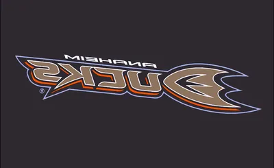 Anaheim Ducks