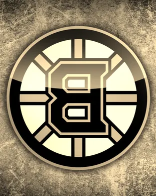 Boston Bruins vs. Anaheim Ducks