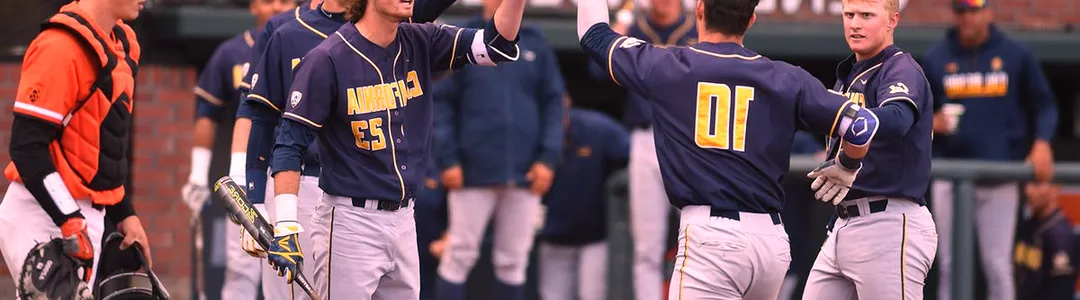 California Golden Bears Baseball