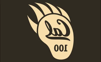 California Golden Bears Football