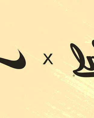 California Golden Bears