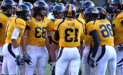 California Golden Bears