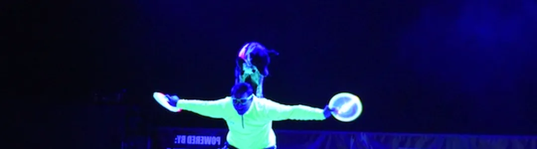 Chris Perondi's Stunt Dog Experience