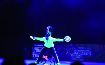 Chris Perondi's Stunt Dog Experience