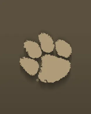 Clemson Tigers vs. Georgia Tech Yellow Jackets