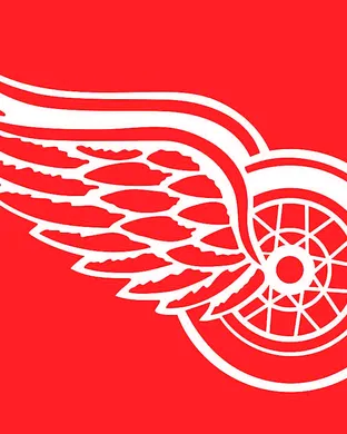 Detroit Red Wings vs. Anaheim Ducks