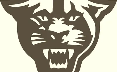 Georgia State Panthers