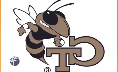 Georgia Tech Yellow Jackets Softball