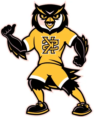 Kennesaw State Owls vs. Georgia Tech Yellow Jackets