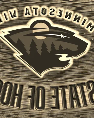 Minnesota Wild vs. Anaheim Ducks