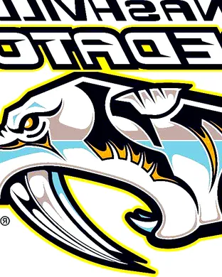 Nashville Predators vs. Anaheim Ducks