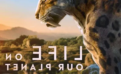 The Making of Life on Our Planet