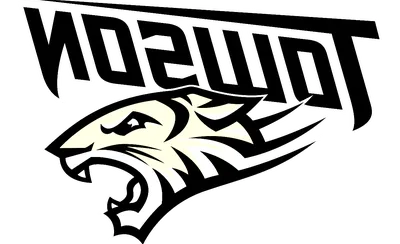 Towson Tigers