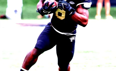 Wake Forest Demon Deacons