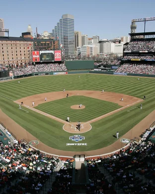 Wake Forest Demon Deacons Baseball