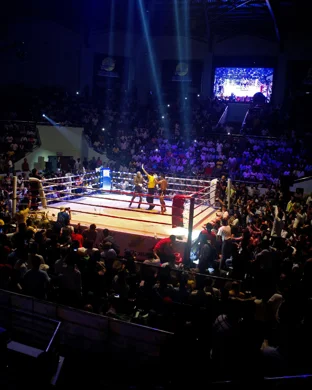 MicroMania Midget Wrestling