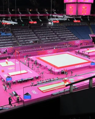 California Golden Bears Gymnastics