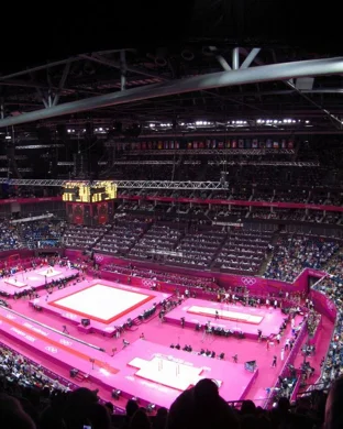 Clemson Tigers Women's Gymnastics