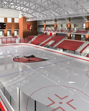 Winnipeg Jets vs. Anaheim Ducks