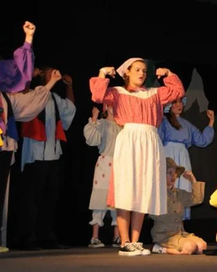 The Lion, The Witch And The Wardrobe theatre performance